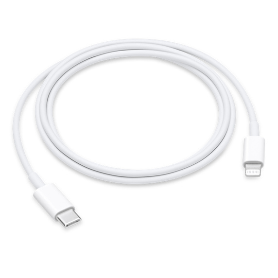 Read more about the article Lightning Cables to Type C?